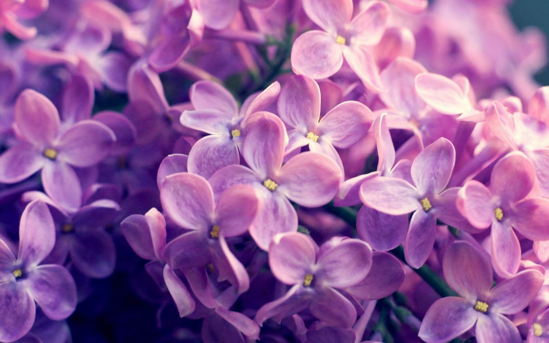 九游游戏中心-中超转播收视率节节攀升，2021赛季中超转播权