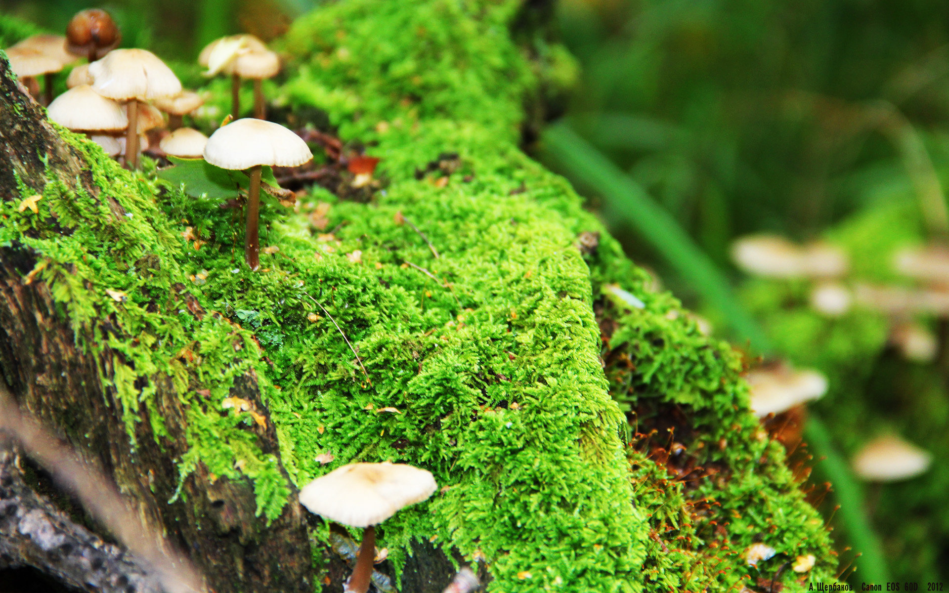 动画与篮球:新媒体带来了怎样的视觉盛宴?,动画与篮球_新媒体带来了怎样的视觉盛宴和深刻