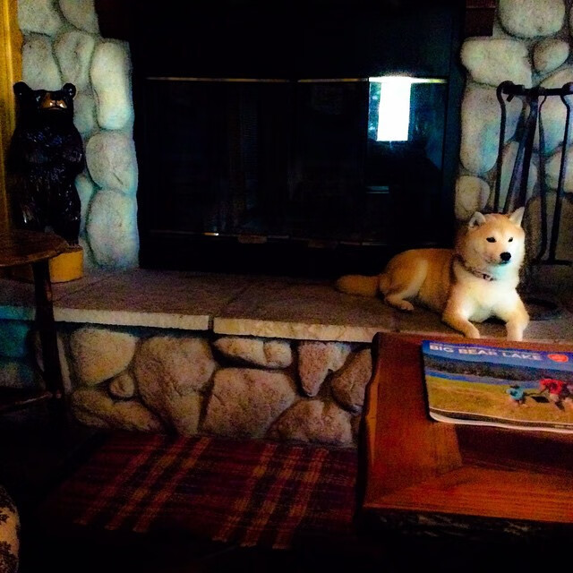 九游登录入口-足球教学插画内容在教辅平台上线，足球教科书各技术教学挂图