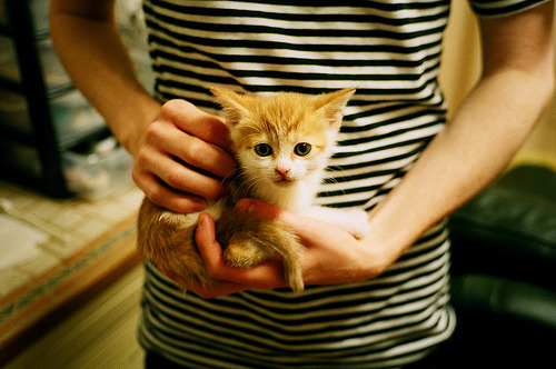 九游网游官网-逆境中崛起的“英雄队伍”：他们如何翻盘逆转？，逆境造就英雄的案例