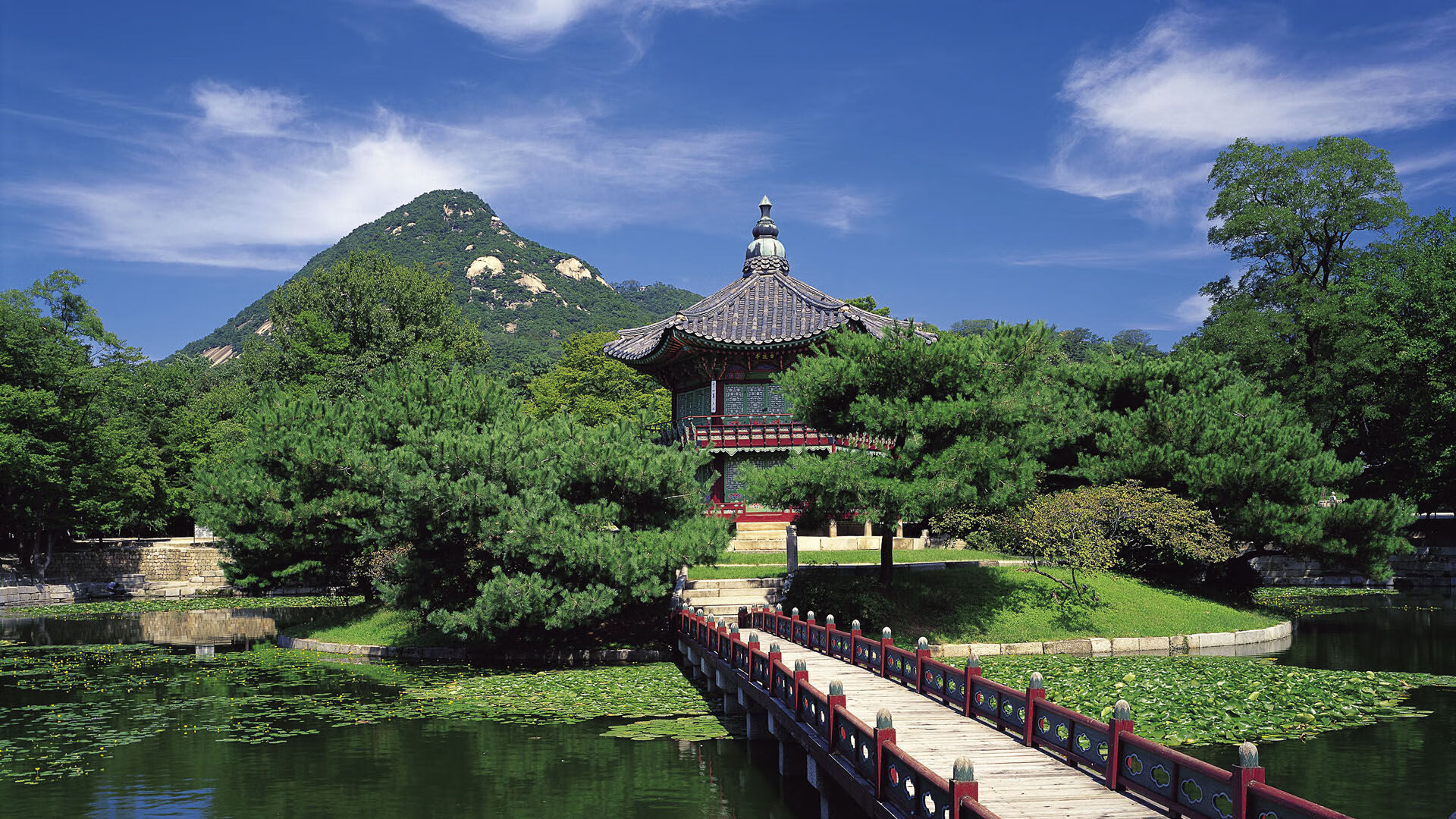 九游登录入口-逆境奋战：那些勇敢冲破绝境的足球英雄，足球奋斗