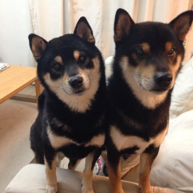 九游网页版官网-青少年“体育+创新”创业大赛在哈尔滨增强科技实力，推动产业升级