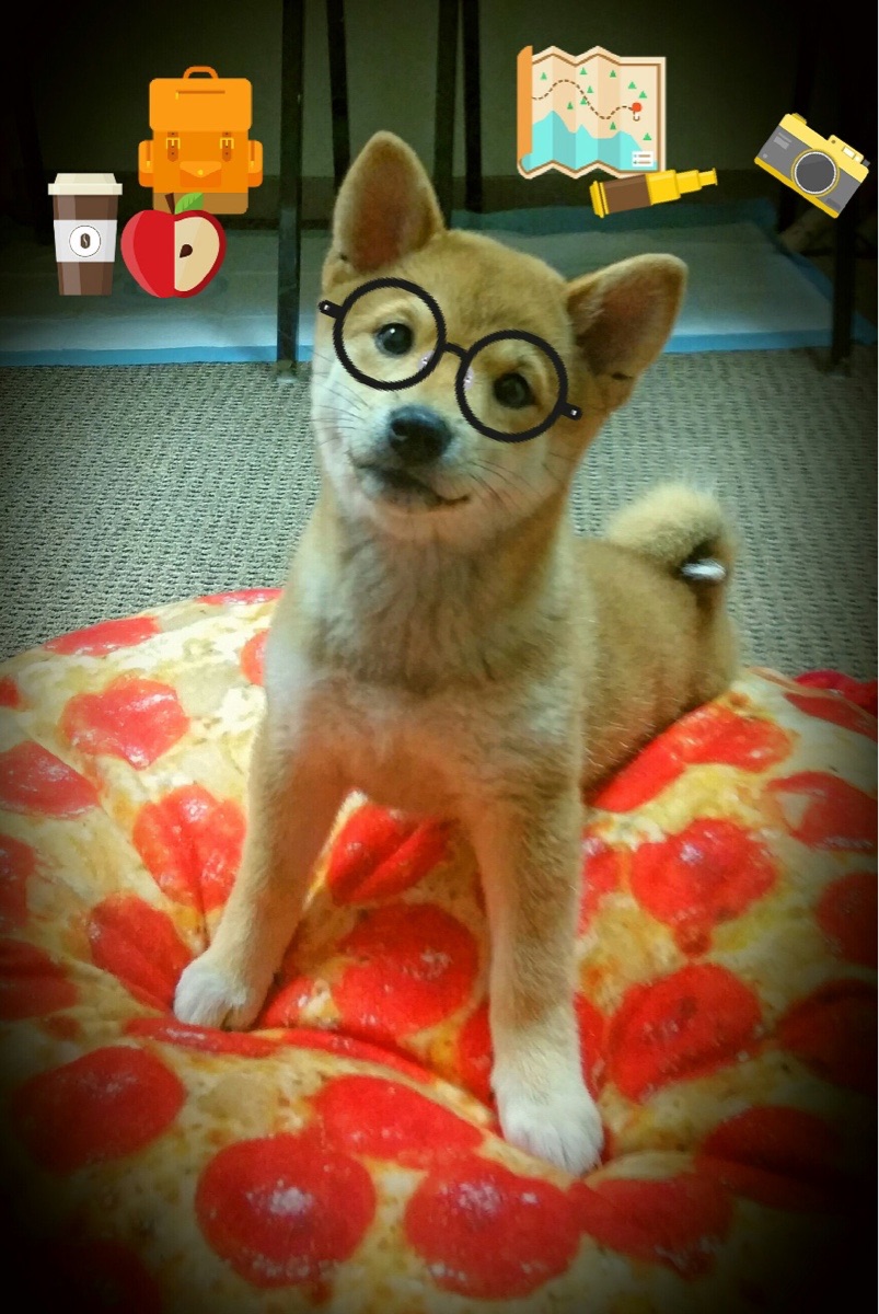 青少年“体育+创新”创业大赛在哈尔滨增强科技实力，推动产业升级