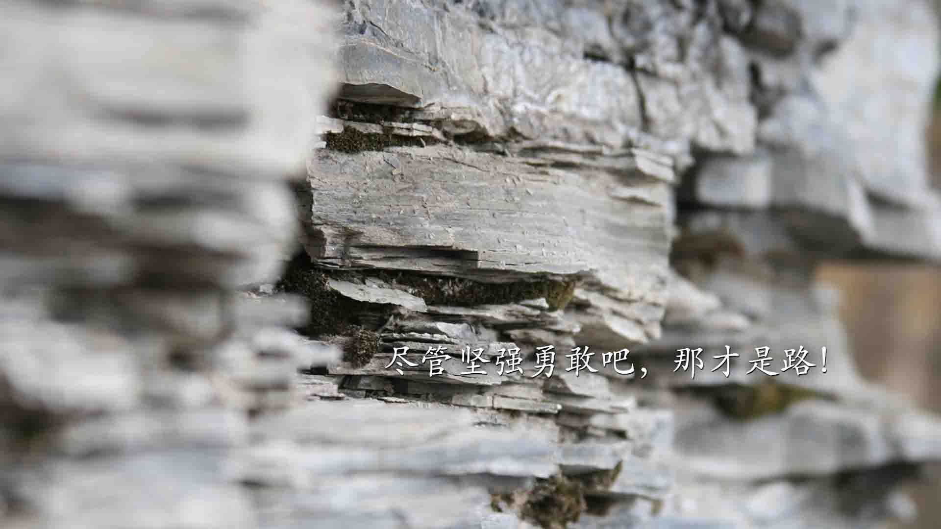 九游(jiuyou)官方网站-青少年篮球“星光之旅”全国巡演不断扩大影响力，ybdl青少年篮球发展联盟