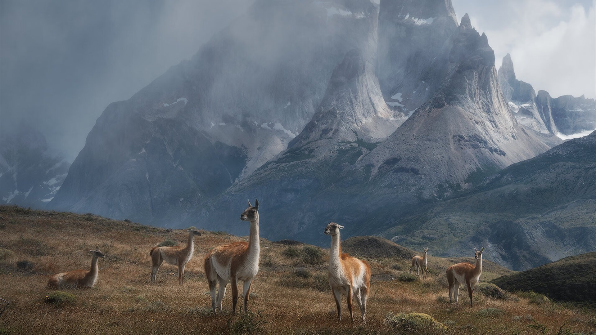 RNG新赛季目标锁定总冠军，rng拿到赛点