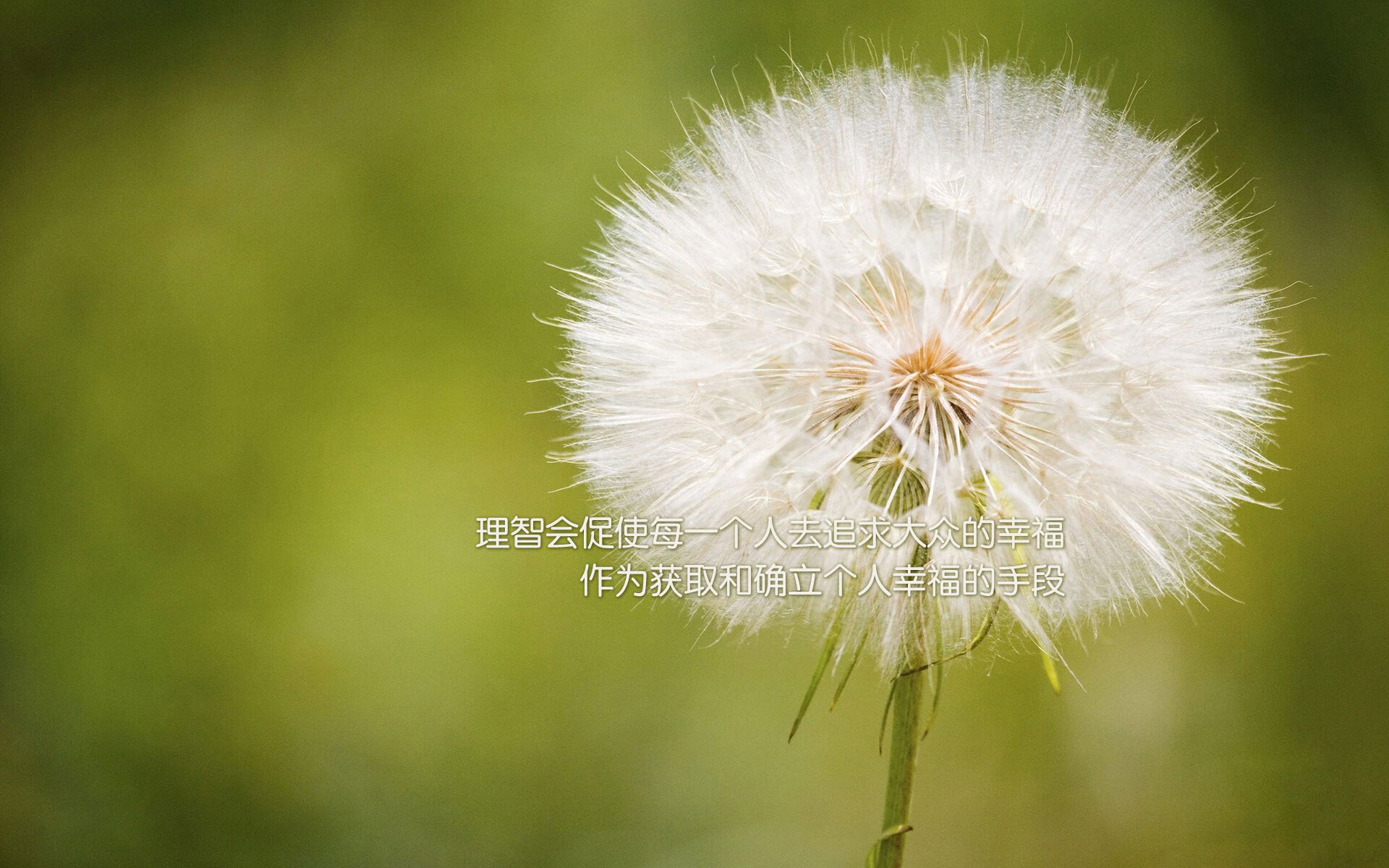 克罗地亚冲刺比利时：胜负难分高下，足球克罗地亚vs比利时