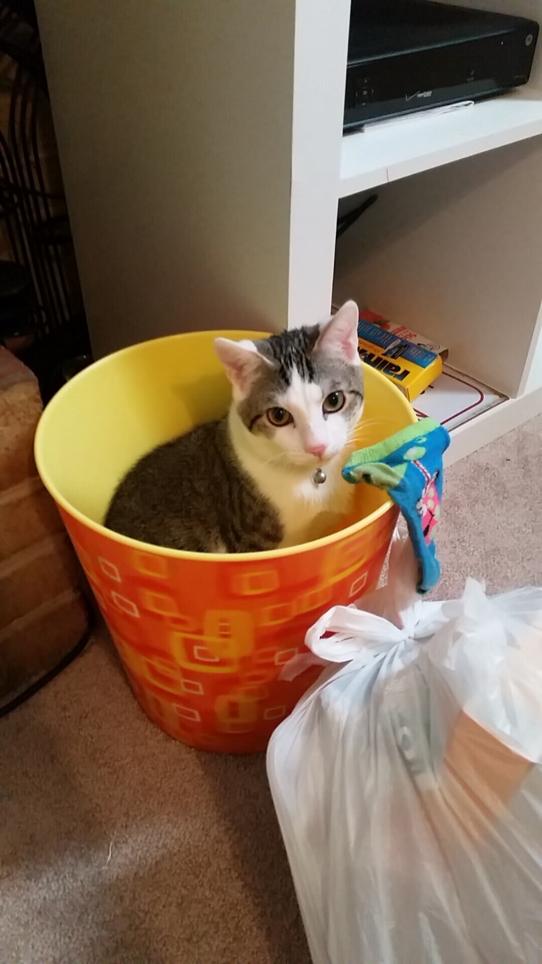 JIU YOU GAME-天津先行者 训练强度再升级，天津先行者训练师