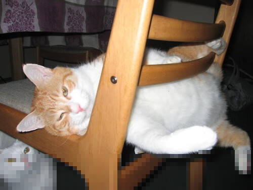 九游下载安装-太原卡丹虎困境堪忧，联赛越战越危