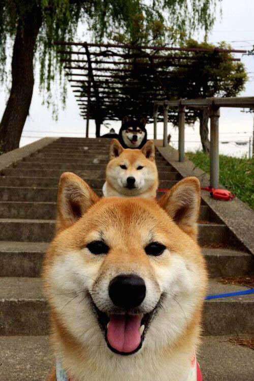 JIUYOU GAMING-足球亚洲杯分组抽签结果出炉，亚洲杯抽签分档