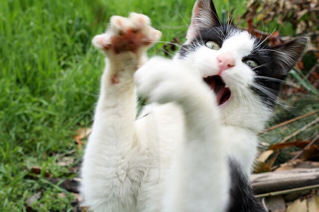 九游游戏中心官网-中国三人篮球男队强化协防策略，三人篮球 中国男篮