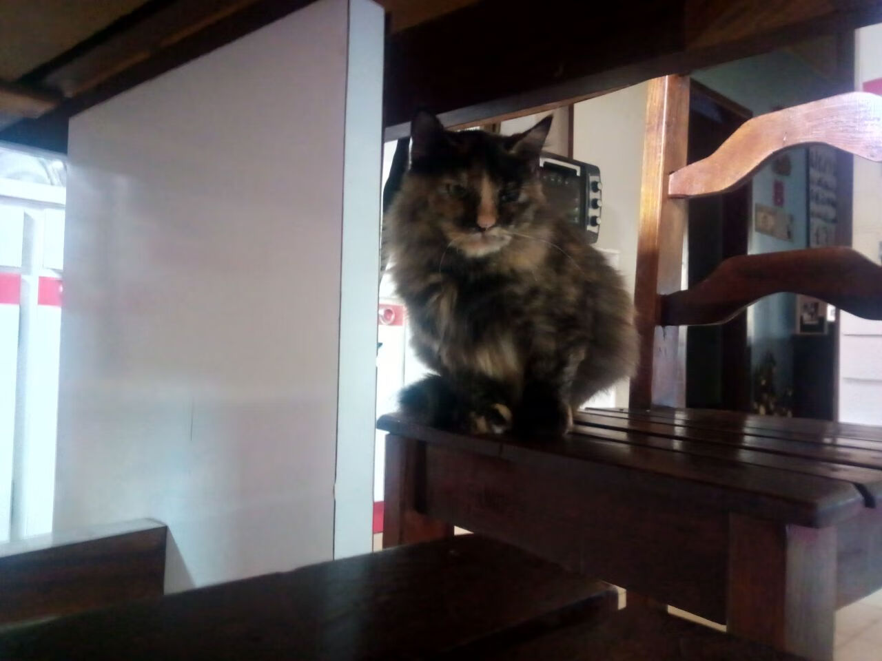 九游APP官网-辽宁飞豹延续胜利势头向冠军再度发起冲击，辽宁飞豹吧 百度贴吧