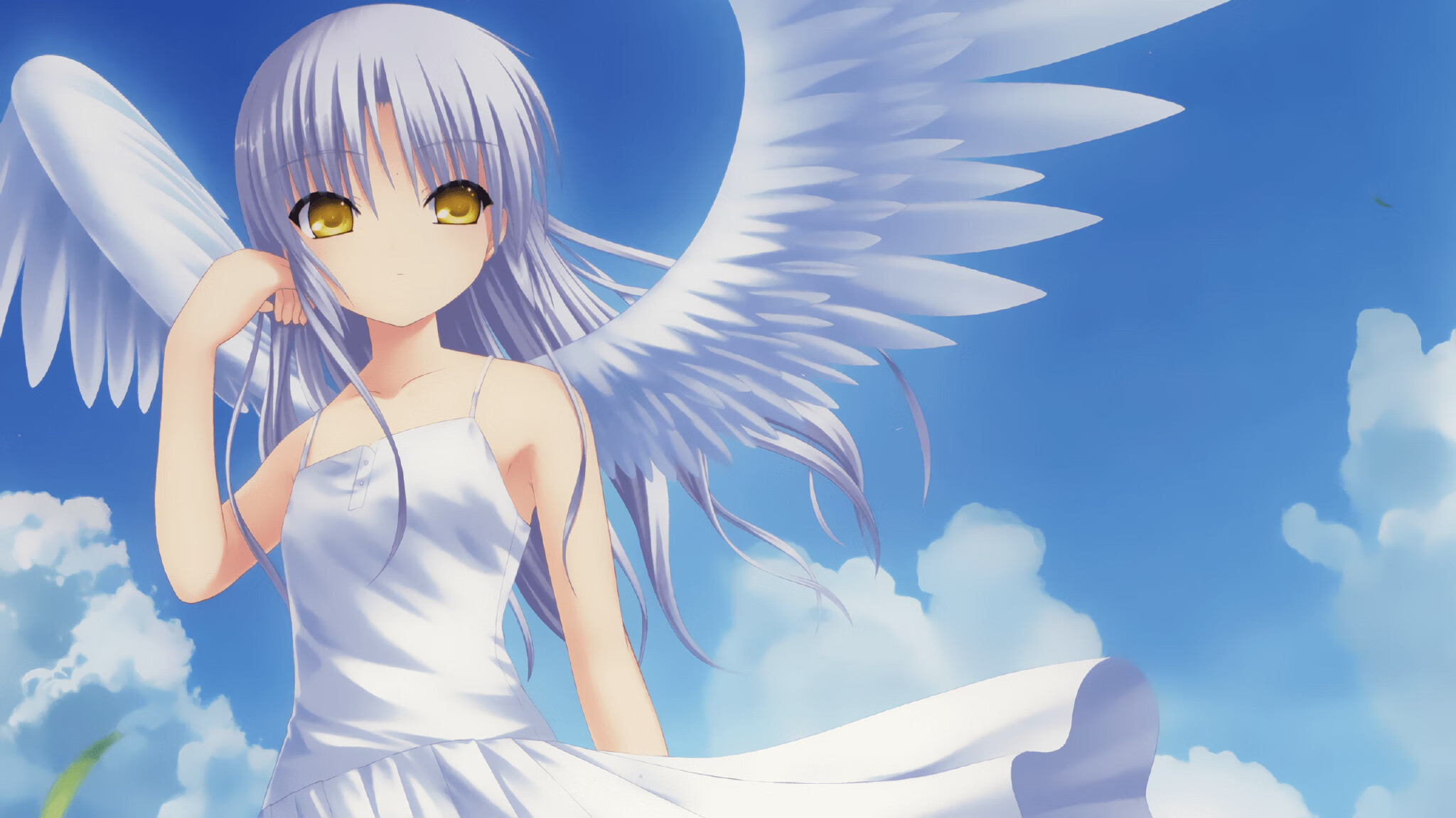 九游娱乐APP-俱乐部推出志愿者计划增强赛事运营力量实现赛事共建共享，志愿者俱乐部活动