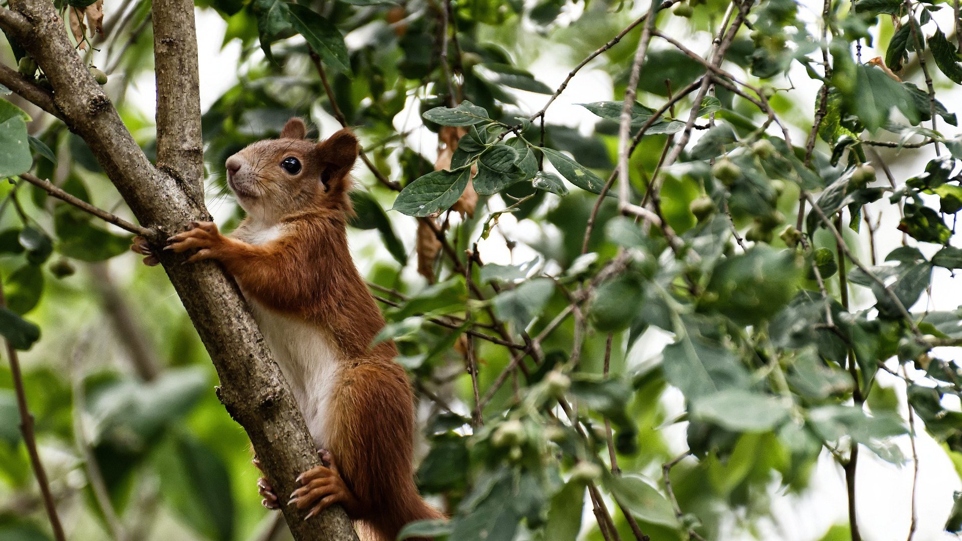 九游登录入口-南非男子仰泳节奏稳定，男子仰泳比赛视频